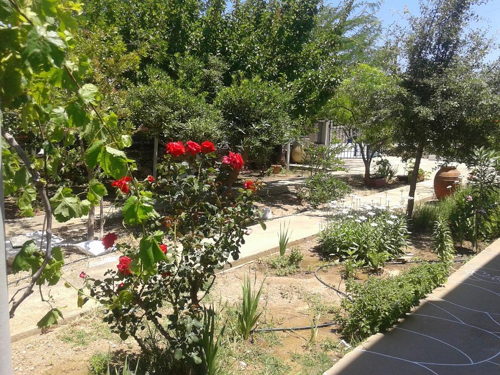 Aegean Harmony Apartment Platis Gialos  Exterior photo